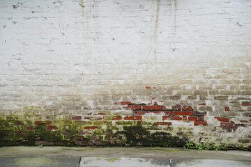 Closeup white painted brick wall with moss