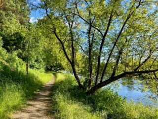 A tranquil river scene with clear blue skies is framed by lush green trees and foliage. The river flows gently in the background, reflecting the sky and greenery. Tall grasses grow along the riverbank