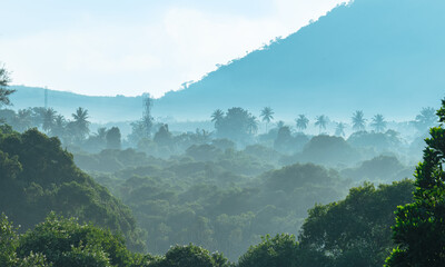 Tropical forest landscape with morning mist covering lush green trees and distant mountains, ideal for eco tourism, nature concepts, environmental design, and relaxation themes
