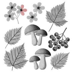 Artistic sketch of forest foliage and fungi depicting natural autumn elements.
