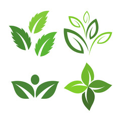 Naklejka premium Elegant set of green leaf vector logo designs for eco-friendly businesses and brands