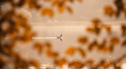 A person kayaking on a calm lake viewed through autumn leaves
