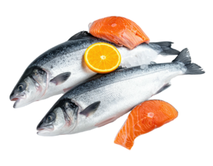 Fresh seafood arrangement of whole fish, fillets, and a citrus slice