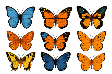 Collection of colorful butterflies with diverse wing patterns on a white background