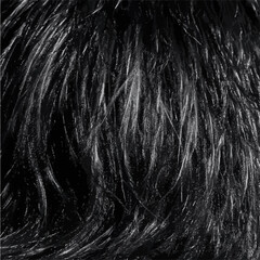 black hair background
