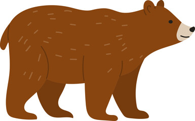 brown bear vector illustration