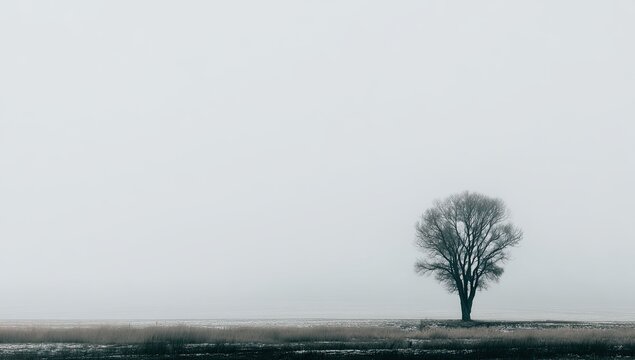 A lone, leafless tree stands in a vast, misty field under a pale sky.  The scene evokes feelings of isolation and serenity