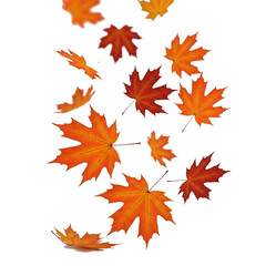 Orange and red autumn maple leaves falling, 3D illustration, white background
