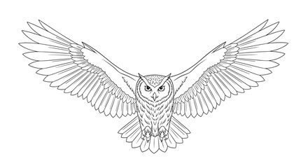Obraz premium An outline drawing of a great horned owl with wings spread wide open in flight.
