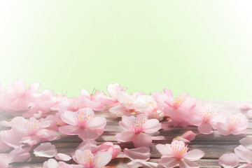 ベンチに落ちた桜の花の淡い背景