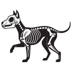 Stylized Dog Skeleton Illustration Walking in Profile