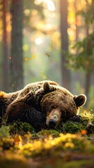 Obraz premium Brown bear, dog, and wild animals in the forest
