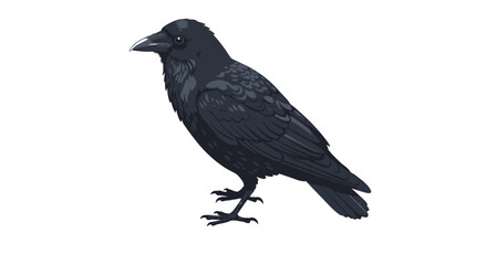Obraz premium Detailed raven bird in profile view on white background