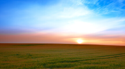 Sunset, nature and landscape of farm with trees, sky and grass for summer in countryside. Agriculture, sustainability and growth of plants with lawn for natural and organic environment in Denmark.
