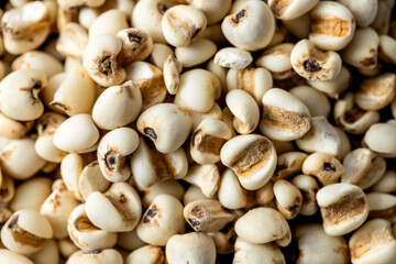 Close-Up of Natural White Seeds with Unique Textures and Patterns