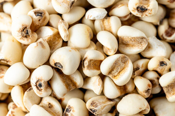 Close-Up View of Raw White Seeds on Natural Background