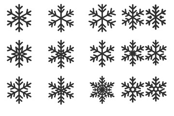 Twelve unique black snowflake designs on white background