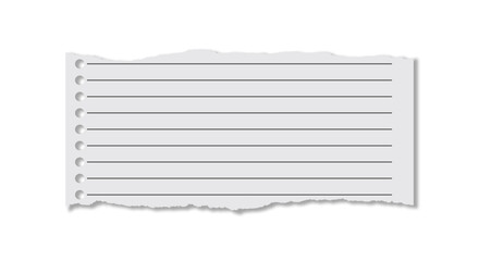 Blank Torn Paper Sheet | Realistic Ripped Edge Transparent PNG for Graphic Design and Digital Art Projects