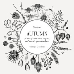 Dried flowers and autumn plants card design. Hand drawn vector illustration. Sketch style fall leaves background. NOT AI generated 