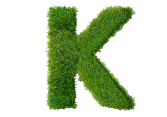 Grass font 3d rendering letter K isolated on a transparent or white background