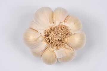 A close-up, centered, overhead studio shot displays the fibrous base of a garlic bulb with unpeeled cloves arranged circularly on a white background
