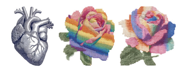 Heart and Colorful Roses on Transparent Background with Artistic Style