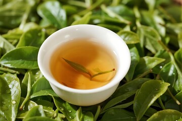 Warm and Cozy Tea Time with Traditional Japanese Teapot 