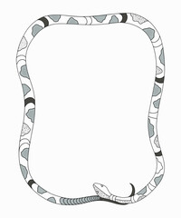 A frame or background with a cobra in the shape of a bright ribbon. Snake skin texture with spots, lines, and stripes. Vector.