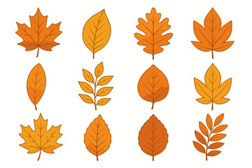 Colorful assortment of autumn leaves display in various shapes and shades