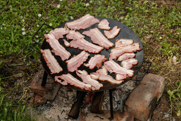 Cooking strips of raw bacon on a cast iron griddle over an open fire outdoors. Rustic, outdoor cooking setup in a natural, grassy environment with firewood flames beneath the pan.