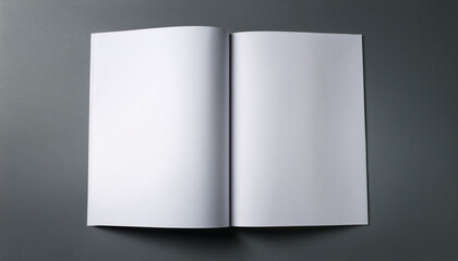 Blank Brochure And Catalog Mockup On Gray Background