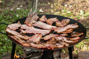 Cooking strips of raw bacon on a cast iron griddle over an open fire outdoors. Rustic, outdoor cooking setup in a natural, grassy environment with firewood flames beneath the pan.