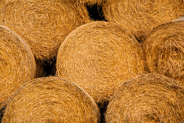rolls of hay neatly stacked on top of each other
