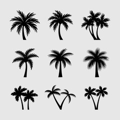 Set of vector palm tree illustrations scalable icons for tropical design projects silhouette