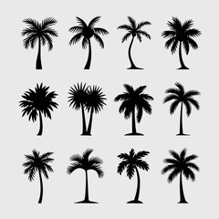 Vector silhouette palm tree collection set scalable illustration for tropical design and summer graphics silhouette
