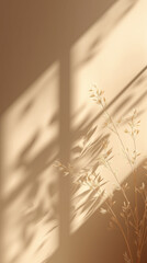 Dry Grass Plant Shadows and Light on a Minimal Beige Textured Wall