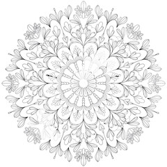 Intricate vector mandala illustration with floral patterns scalable graphic design art silhouette