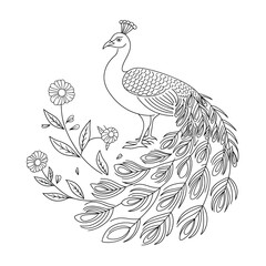Elegant outline vector illustration of a peacock amidst floral elements scalable graphics for design projects silhouette