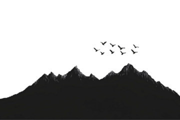 Silhouette of mountains and birds on a transparent background