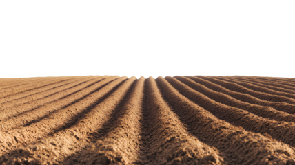 Ploughed field isolated on transparent background