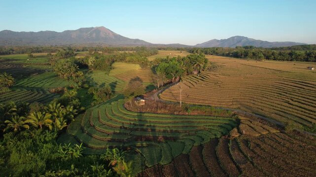Smooth drone shot over terraced rice fields with a small hut and winding path. Majestic volcano and mountain range rise in the distance under the warm golden sunlight of early morning.