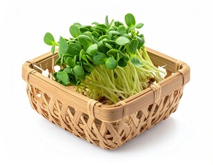 Microgreens in basket; vivid leaves & pale stems stand out