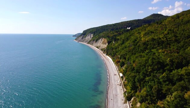 Aerial View of a Seaside Cliff with Lush Greenery