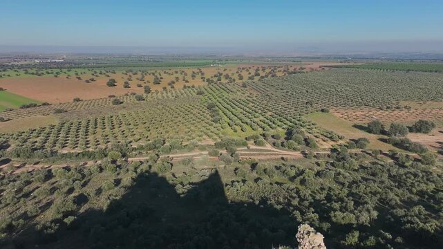 Aerial drone shot capturing the full ruins of Dos Hermanas Castle on a rocky hill in Navahermosa, Toledo. Surrounded by olive groves, farmland, and distant mountains under a clear sky