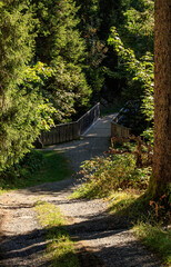 Bridge over the mountain spring in the Alps