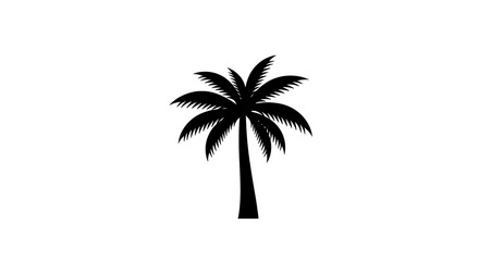 Obraz premium Black Silhouette of a Palm Tree on White Background.