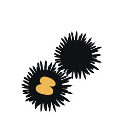 sea ​​urchin food illustration
ウニ　食べ物　イラスト