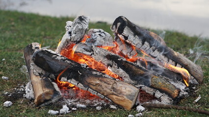 fire in the forest