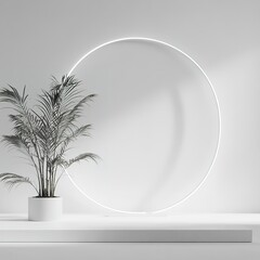 Minimalist white scene with plant and circle