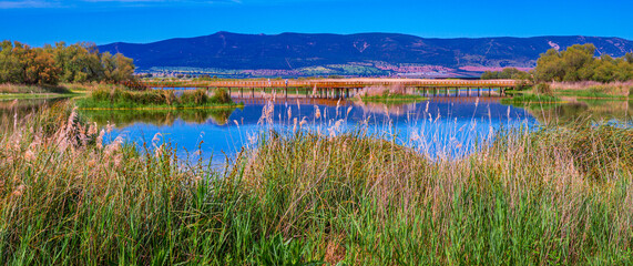 Tablas de Daimiel National Park, Daimiel, Ciudad Real, Castilla La Mancha, Spain, Europe